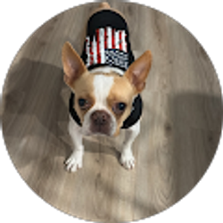 Profile photo of V G