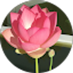 Profile photo of Hoa Phi