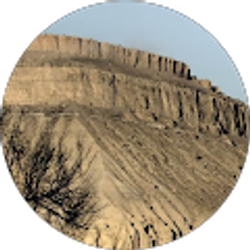 Profile photo of Destiny Hoselton