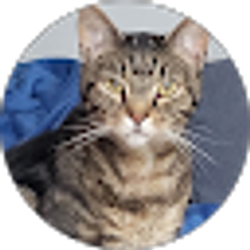 Profile photo of Angela Garrison