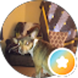 Profile photo of Linda Stricker
