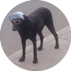 Profile photo of Zoe McQuade