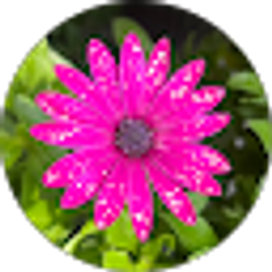 Profile photo of Jill Pennington