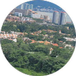 Profile photo of Mark Fin