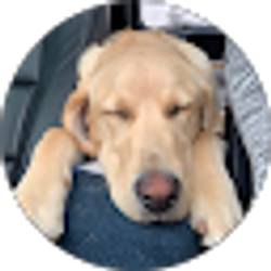 Profile photo of Rebecca Farrington