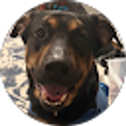 Profile photo of Ross Dewsnap