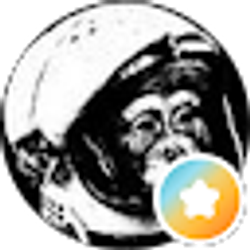 Profile photo of Matthew Yashian