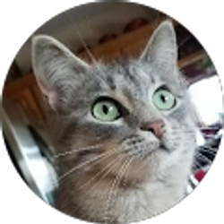 Profile photo of Angie10365