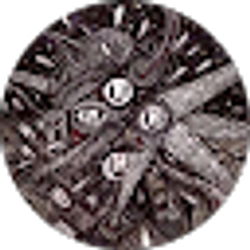 Profile photo of WHITEDIMES