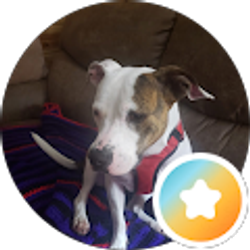 Profile photo of Molly Bruner