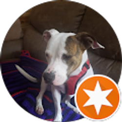 Profile photo of Molly Bruner