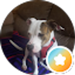 Profile photo of Molly Bruner