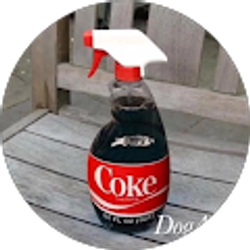 Profile photo of Aceinyoface •