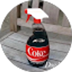 Profile photo of Aceinyoface •