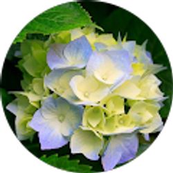 Profile photo of betty farley