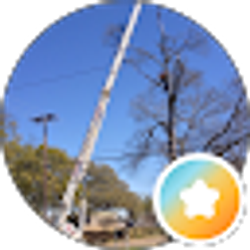 Profile photo of BDC Tree Service