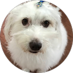 Profile photo of Martha Massie