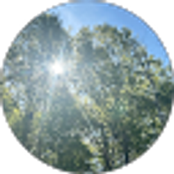 Profile photo of Rachel Schmidt