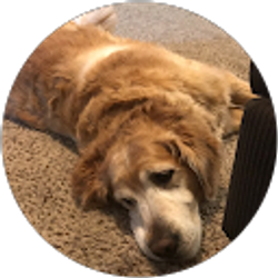 Profile photo of M L