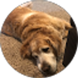 Profile photo of M L