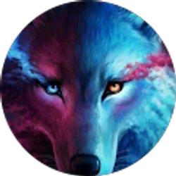 Profile photo of Joni DeArmint