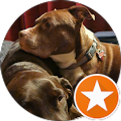 Profile photo of Dave cooper