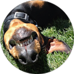 Profile photo of Denise Penn