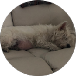 Profile photo of Michael Black