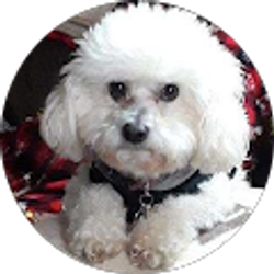 Profile photo of Andrea Palomo (Drew)