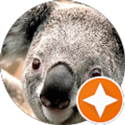 Profile photo of Karly