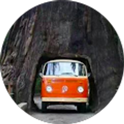 Profile photo of Megan Fucile