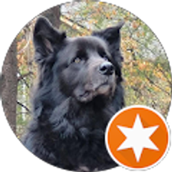 Profile photo of Star Fuentes