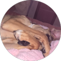 Profile photo of Melissa Wolfer