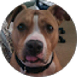 Profile photo of V Juliano