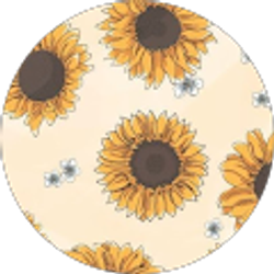 Profile photo of Lillianna ybarra