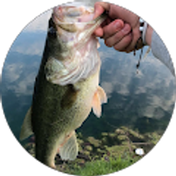 Profile photo of Irving G