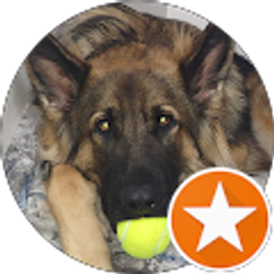 Profile photo of Mark Eberle