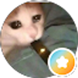 Profile photo of Moe ab