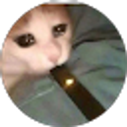 Profile photo of Moe ab
