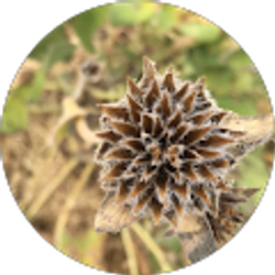 Profile photo of Christy Heisler