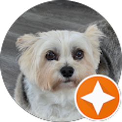 Profile photo of Oldfart In WA