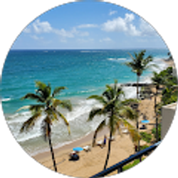 Profile photo of Grateful 247