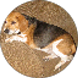 Profile photo of Matt M