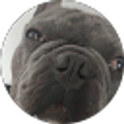 Profile photo of Brandon God777