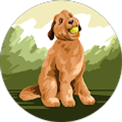 Profile photo of CB Jones