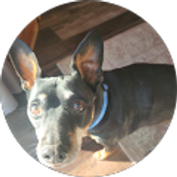 Profile photo of Vic S