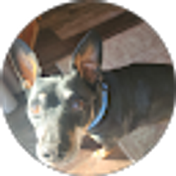 Profile photo of Vic S
