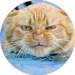 Profile photo of keagan R