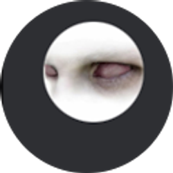 Profile photo of God ShallSmiteYou