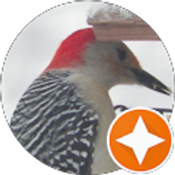 Profile photo of Heather Schoenberger